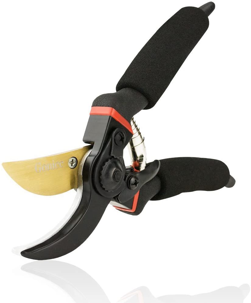 Pruning Shears