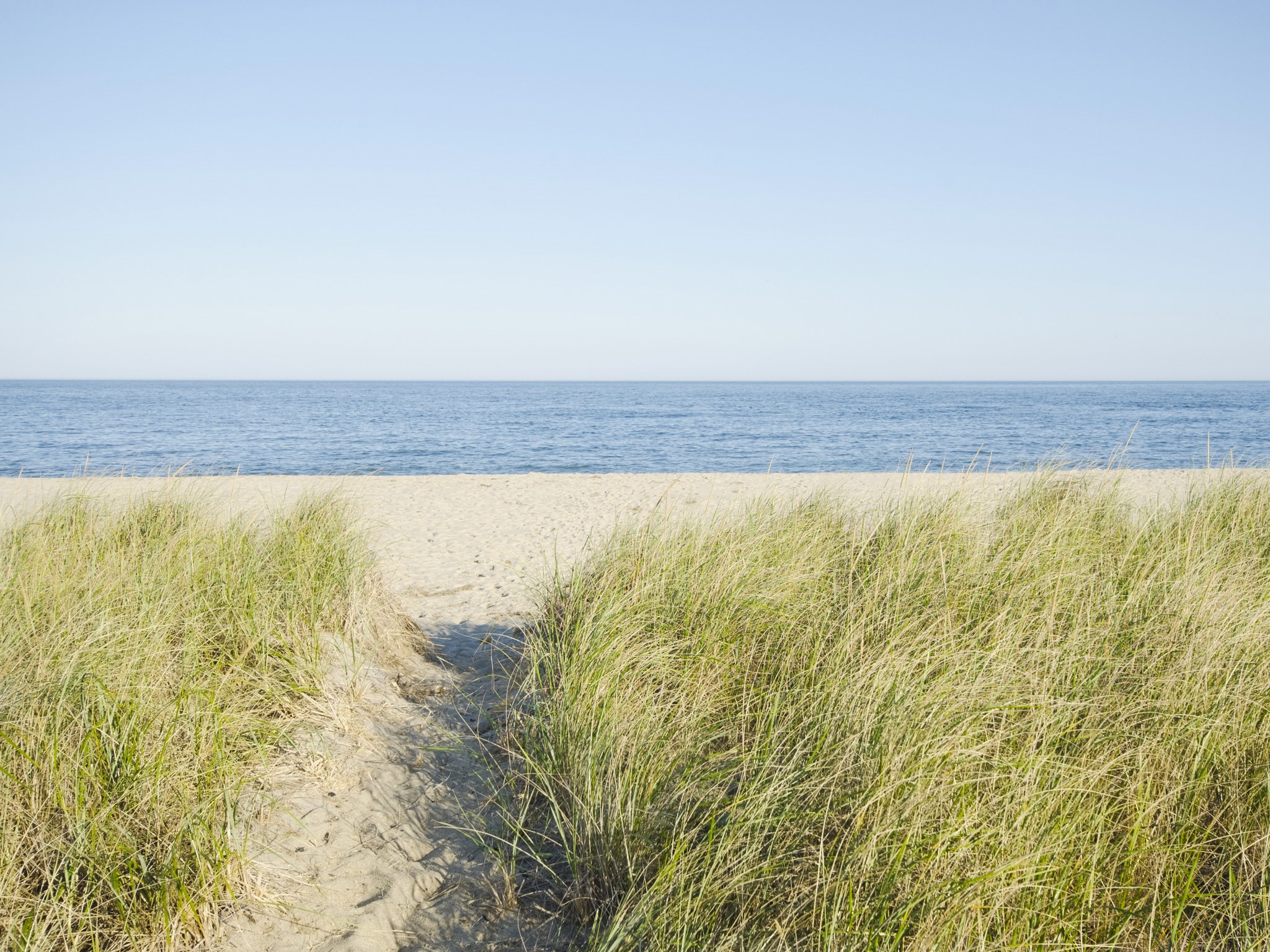 Local Beaches