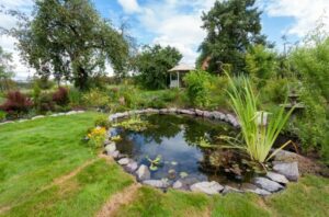 What To Consider Before Adding a Water Feature to Your Yard