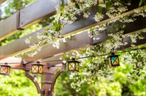 Ways To Enhance Your Backyard During Spring