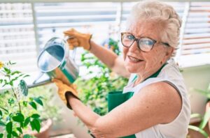 Household Plants That Seniors Can Take Care Of